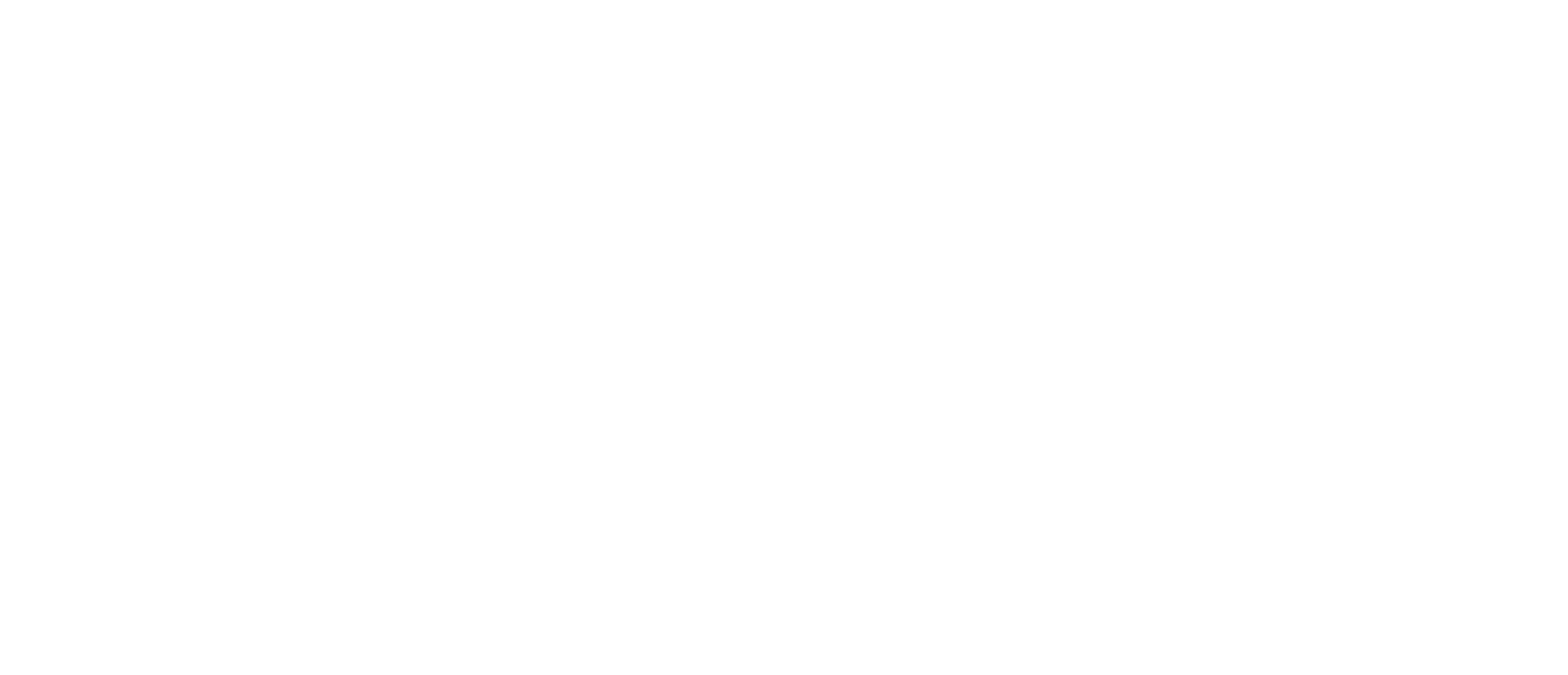 logo n666